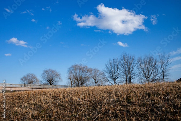 Obraz 仕事に疲れたら雲を見つめて郊外を散歩