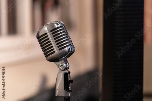 Obraz Microphone