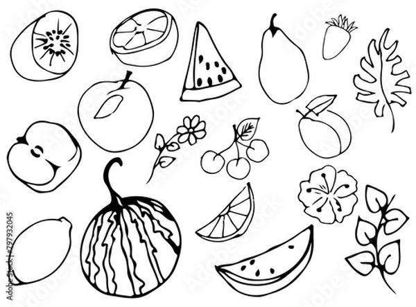 Fototapeta A set of hand-drawn sketches of fruits. Vector illustration with isolated objects on a white background.