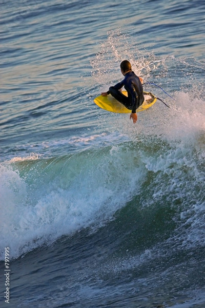 Obraz shredding and flying on the california coast
