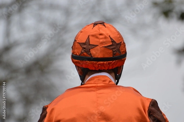 Fototapeta cheval de course