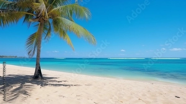 Obraz b'Beach with palm trees and white sand'
