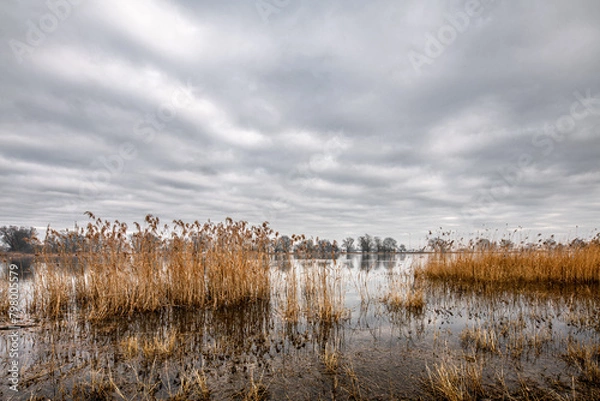 Obraz Landschaft an der Oder