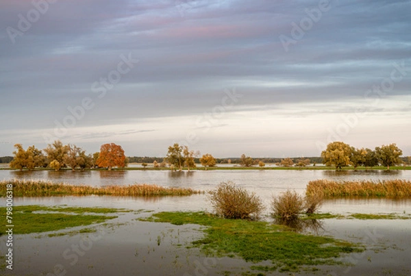 Obraz Landschaft an der Oder