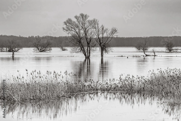 Obraz Landschaft an der Oder