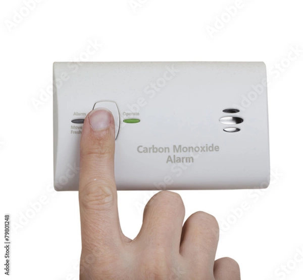 Obraz Carbon monoxide alarm wall mounted unit