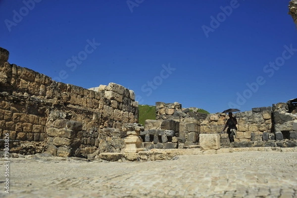 Fototapeta The Bet She'an National Park, Israel