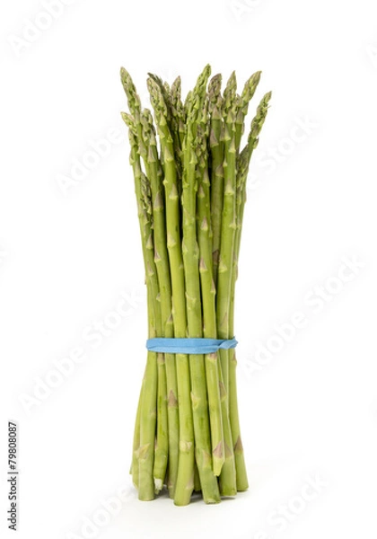 Obraz Asparagus Bunch