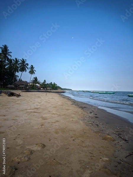 Fototapeta beach with trees