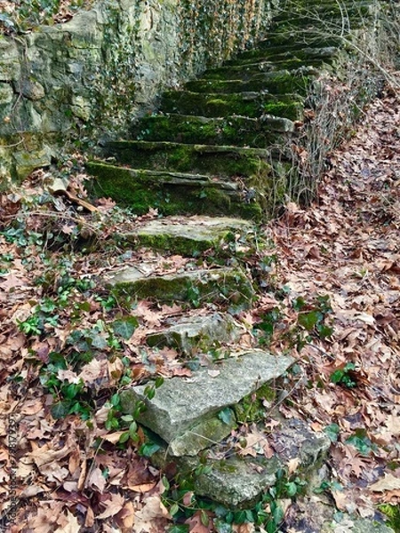 Obraz Ravine Steps