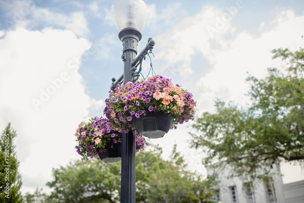 Obraz Spring hanging flower baskets in urban area