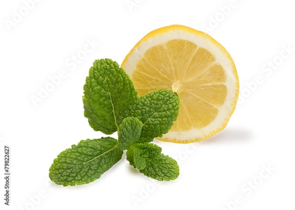 Fototapeta Sliced lemons with mint isolated