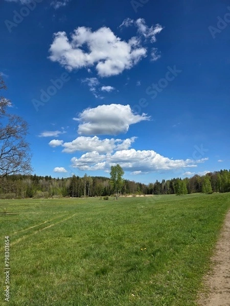 Obraz landscape with sky