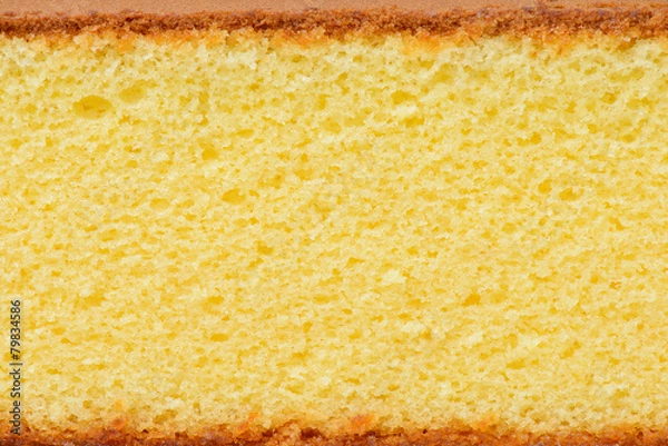 Obraz sponge cake