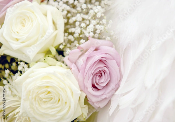 Obraz roses and feathers