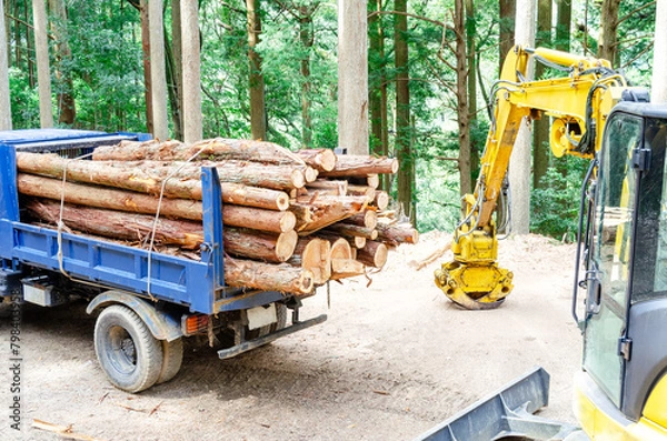Obraz トラックに丸太を積載して荷掛けが終了した直後の作業広場
