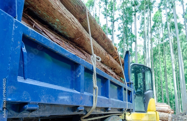 Fototapeta ロープで荷掛けされた丸太を積載したトラックの荷台
