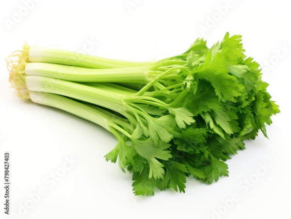 Fototapeta Fresh Celery Isolated on white background