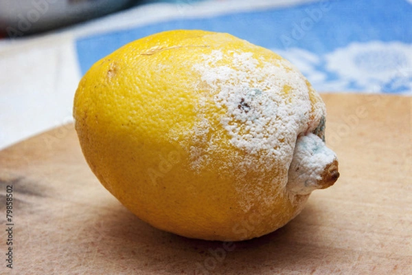 Fototapeta rotten lemon