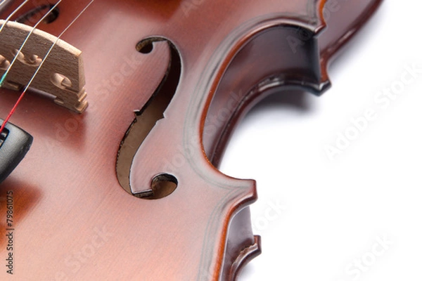 Obraz violin
