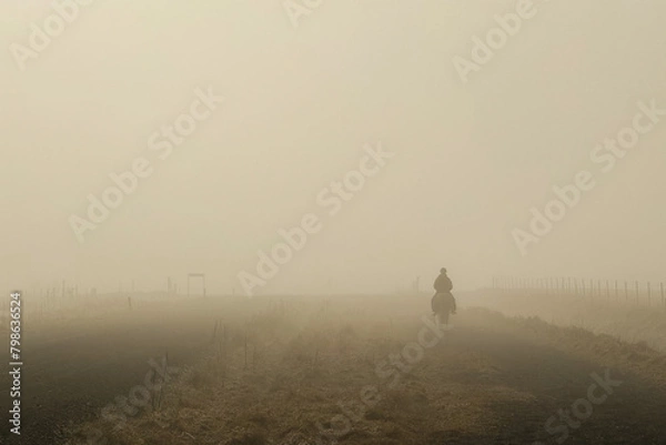 Obraz Icelandic Horse