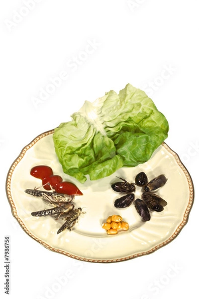 Fototapeta Bon Appetit I