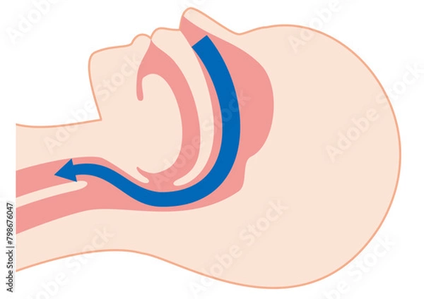 Obraz 睡眠時の正常な呼吸