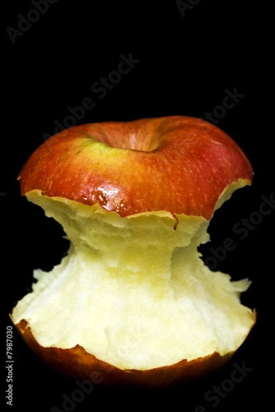 Fototapeta Eva´s Prinzip I