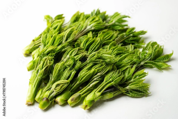 Obraz こしあぶら