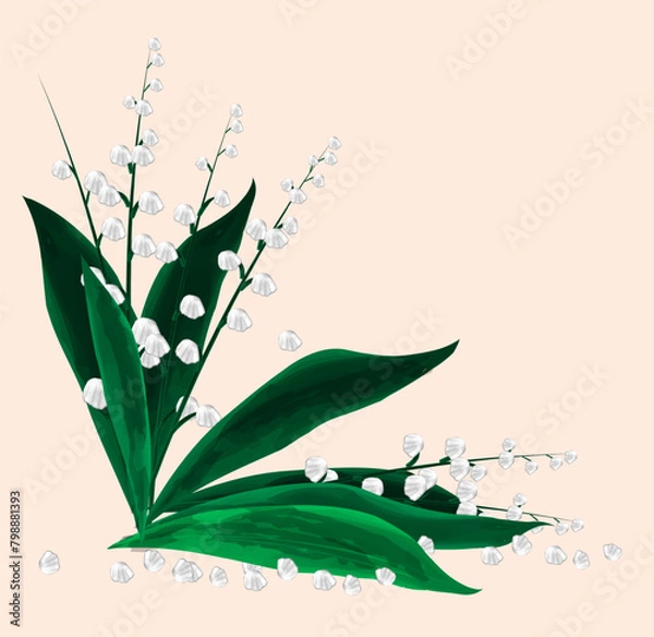 Fototapeta Falling white lilies of the valley with green leaves. Vector illustration of spring flowers in watercolor style on a light background, isolated.