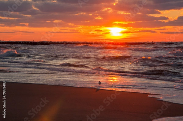 Obraz Zachód słońca nad morzem