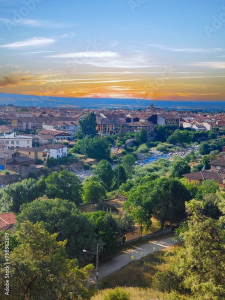 Obraz Trees at sunset