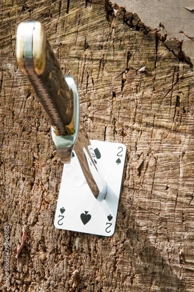 Obraz Throwing knife in playing card