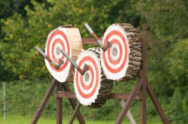 Obraz Axes in throwing target