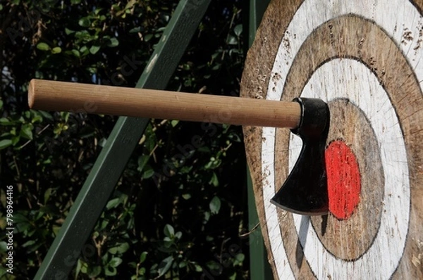 Obraz Axe in throwing target