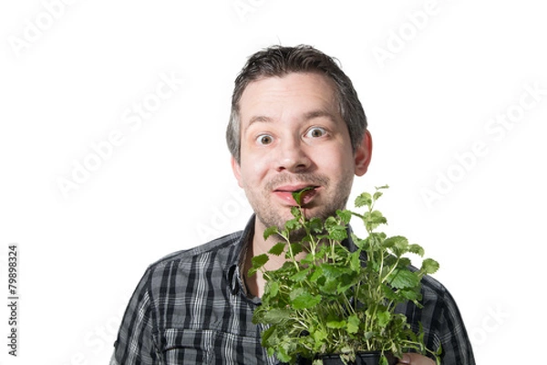 Obraz eating a plant