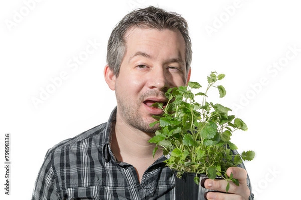 Obraz Eating plant