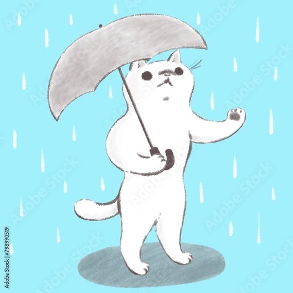Fototapeta 雨の日にお出かけする猫