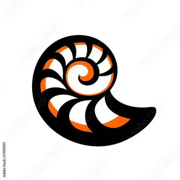 Obraz Simple orange black sea shell