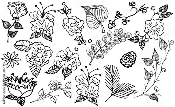 Fototapeta A set of black and white sketches of flowers and various plants, drawn by hand. Vector illustration isolated on white background.