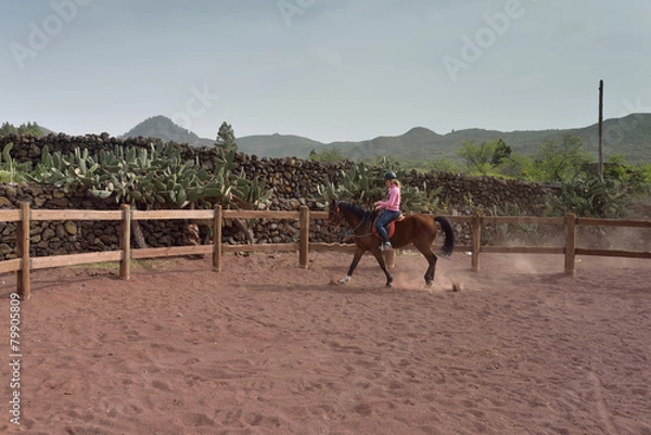 Fototapeta cavalière