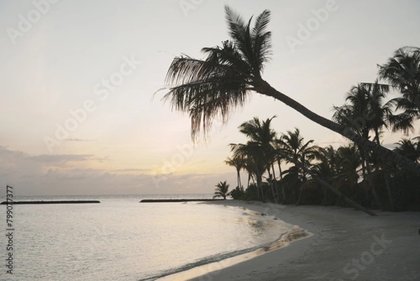 Obraz sunset on the beach
