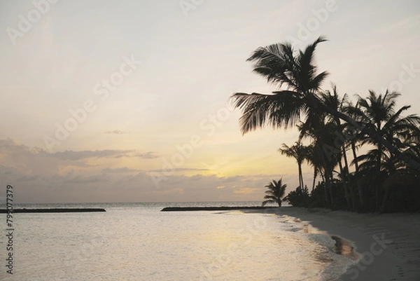 Obraz sunset on the beach