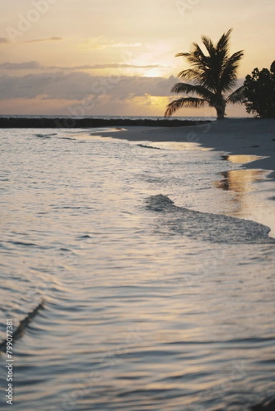 Obraz sunset on the beach