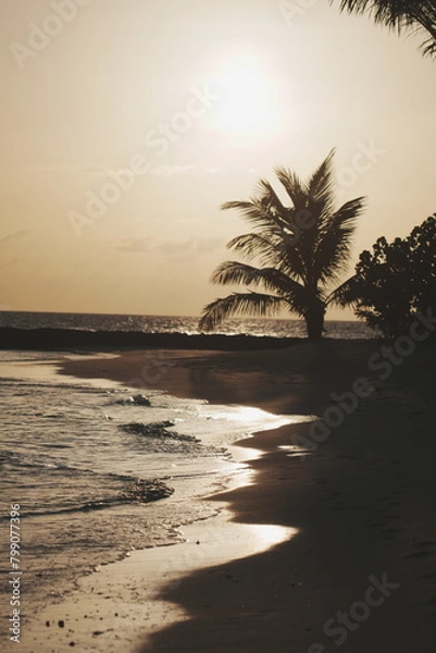 Obraz sunset over the beach