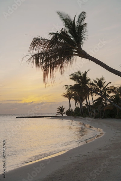 Obraz sunrise on the beach