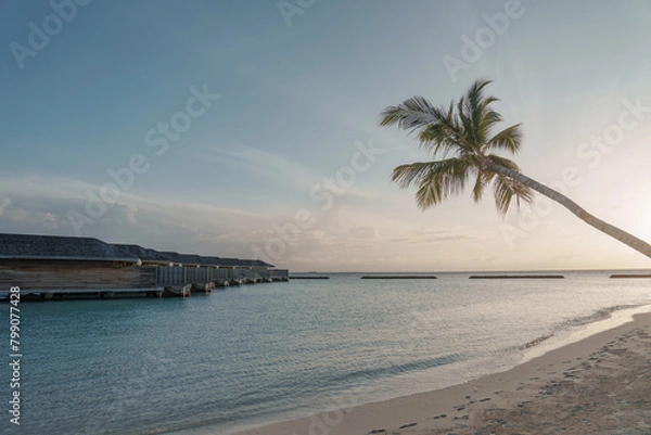 Obraz sunset on the beach