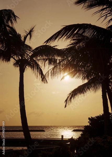 Obraz sunrise at the beach