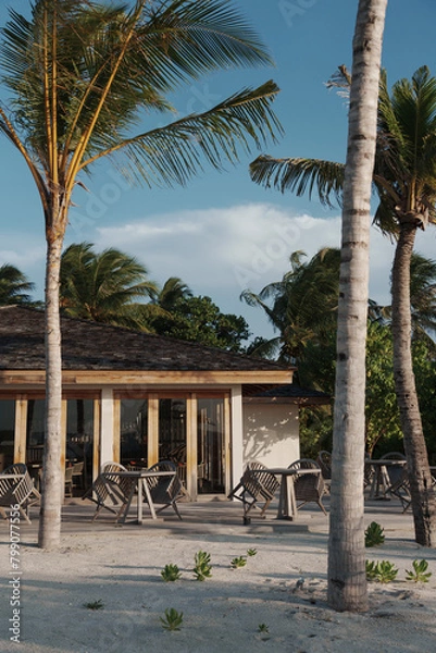 Obraz palm trees in the beach