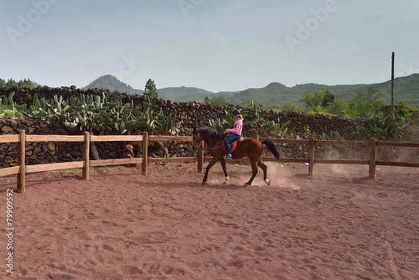 Fototapeta cavalière